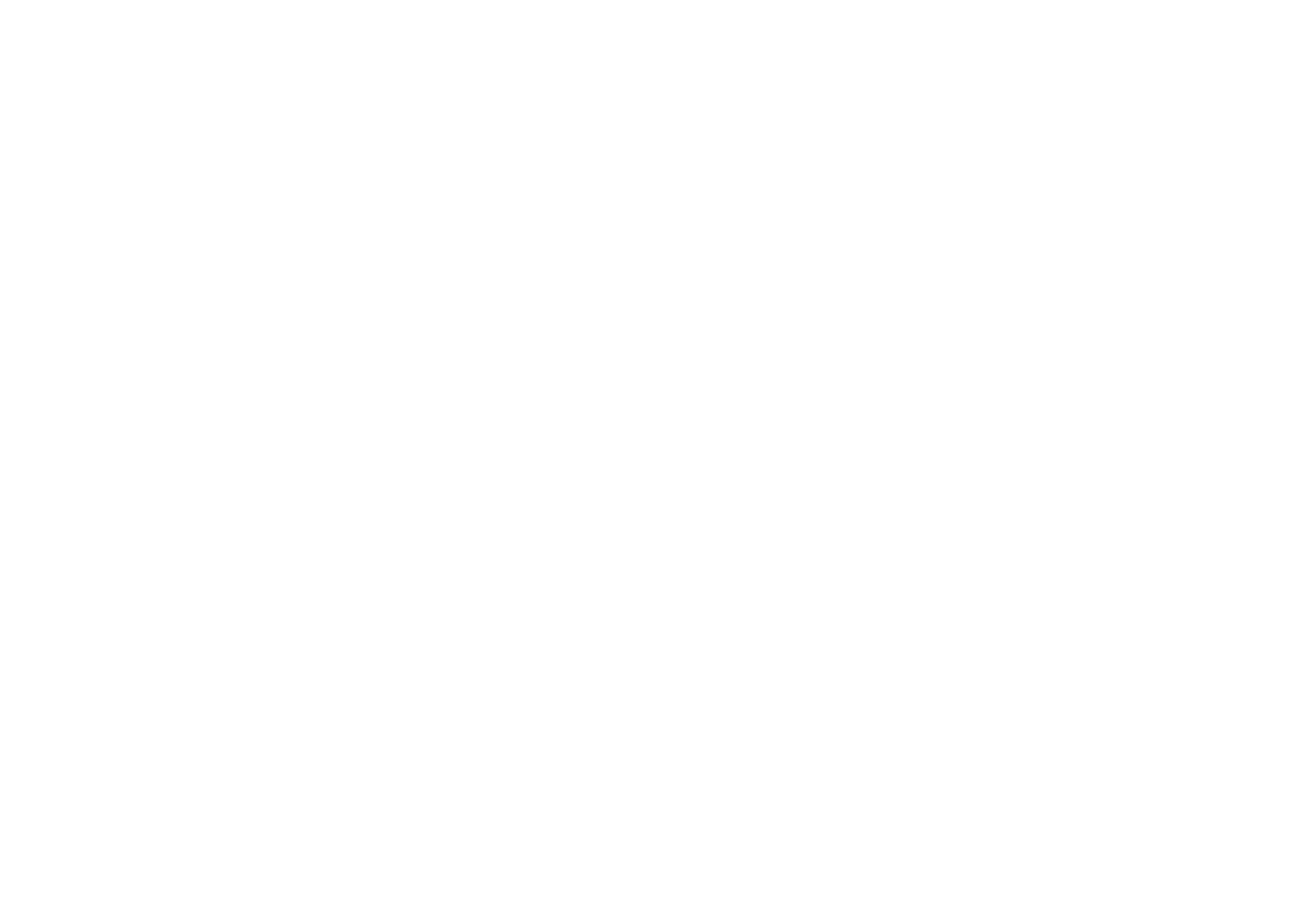 WINZ Logo